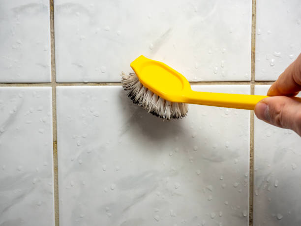 Best Home Mold Removal  in East Milton, FL