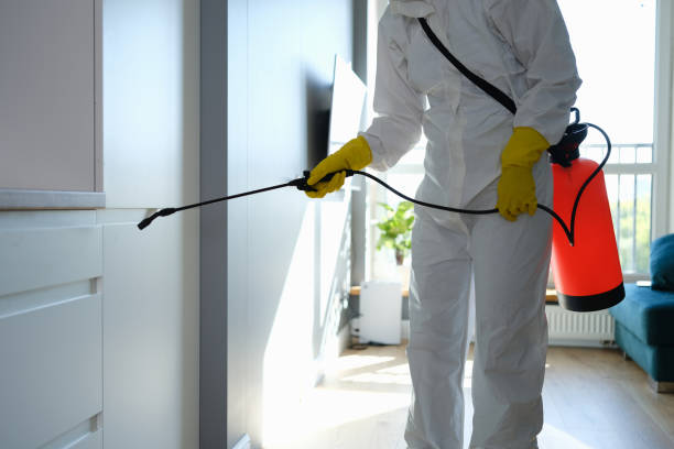 Certified Mold Removal in East Milton, FL