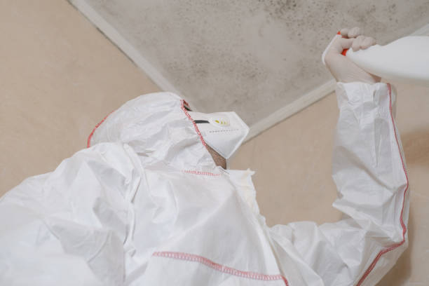 Best Commercial Mold Removal  in East Milton, FL