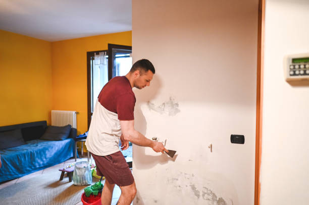 Best Fast Mold Removal  in East Milton, FL